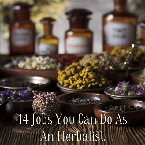 herbalism jobs